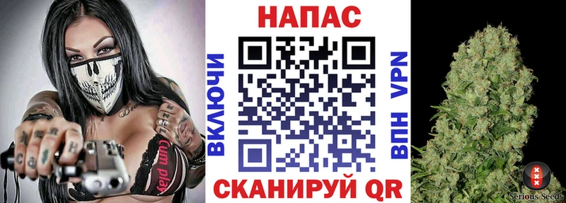 Бошки Шишки сатива  Макушино 